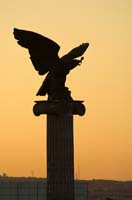 aguila