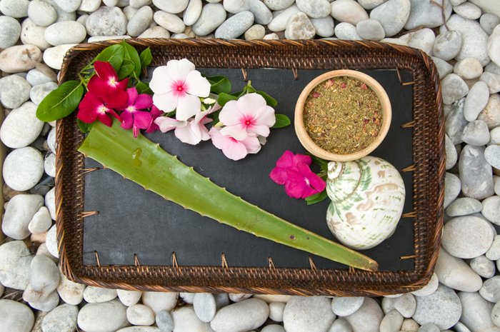 aloe_tray