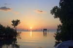 mangrove_sunset