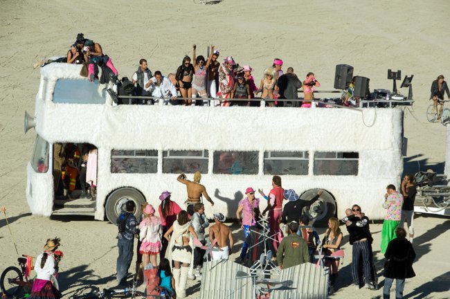 fuzzbus