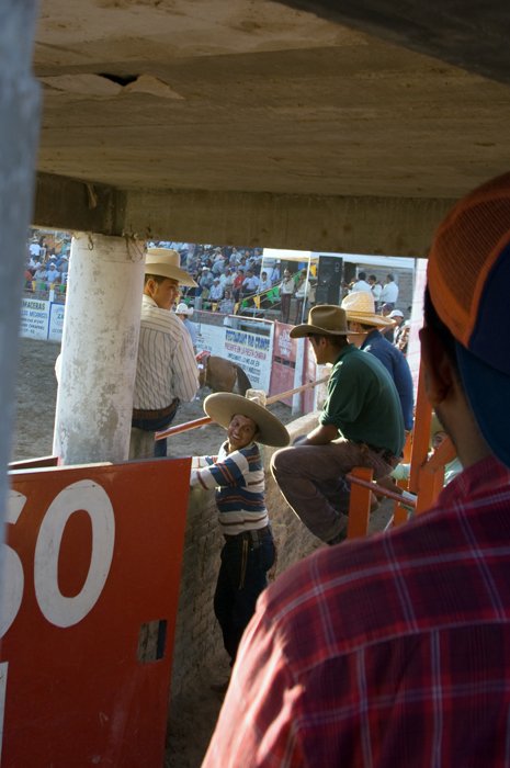ringside(crop)